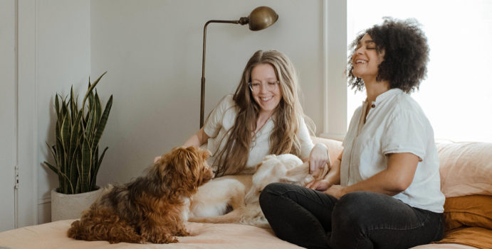 home_in-home-training@2x-e1647523399875