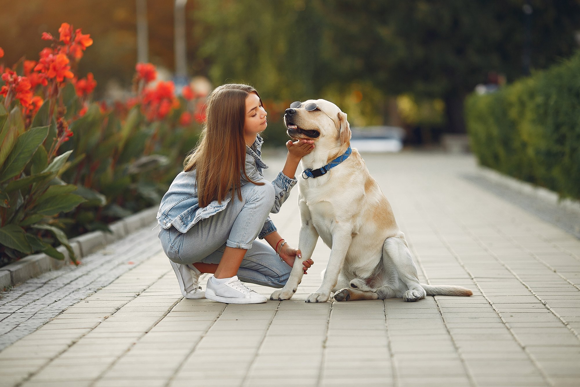 woman-with-her-cute-dog-street